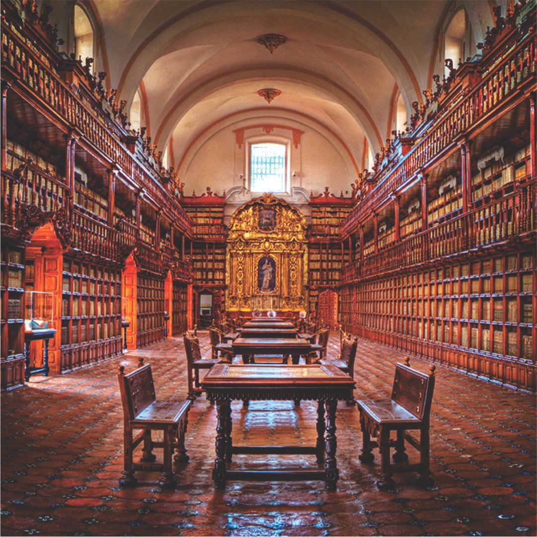 Galería Tour